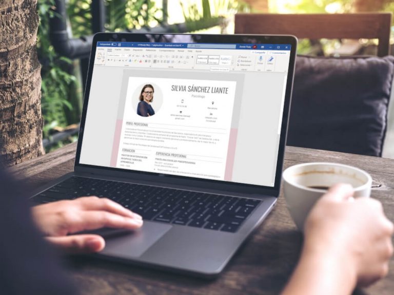 EL CV EN LA ERA DIGITAL